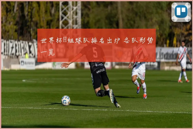 世界杯H组球队排名出炉 各队形势一览