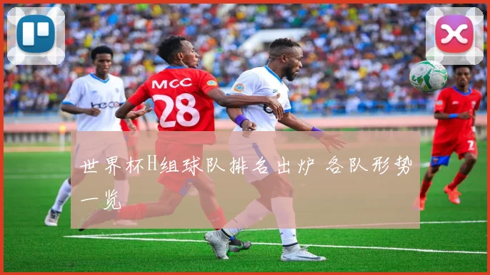 世界杯H组球队排名出炉 各队形势一览